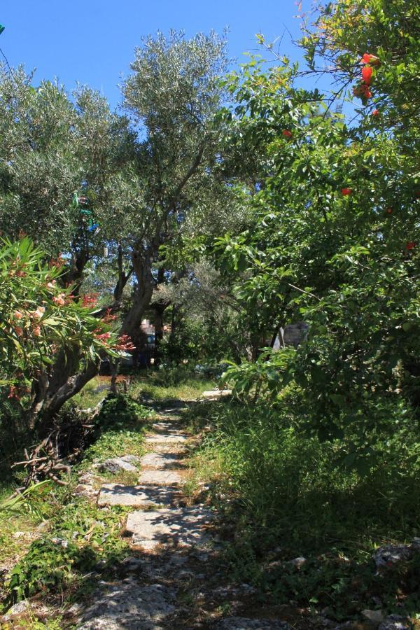 Apartment Valun 386A Εξωτερικό φωτογραφία